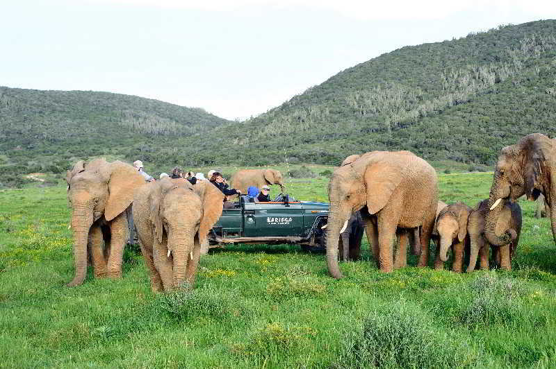 Kariega Game Reserve Bushman's River Mouth Exterior photo