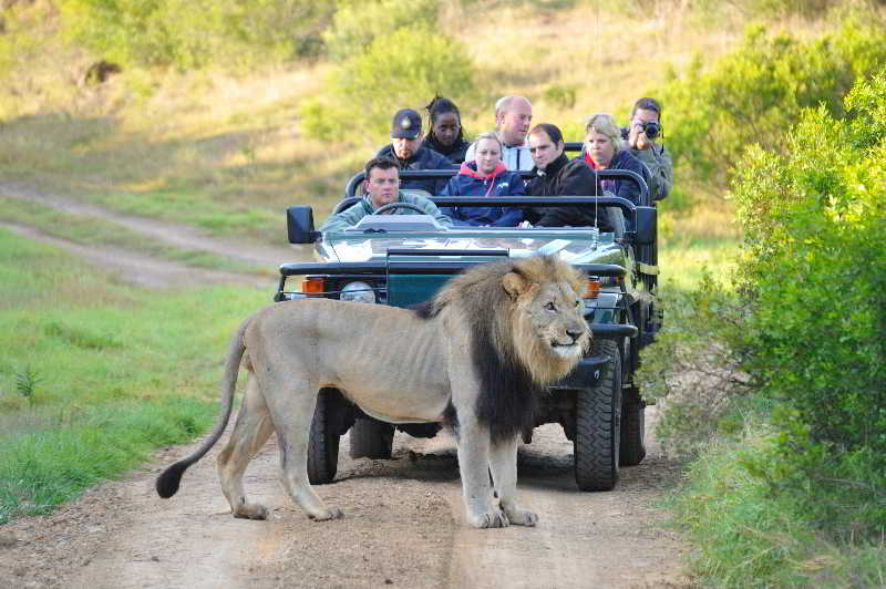 Kariega Game Reserve Bushman's River Mouth Exterior photo