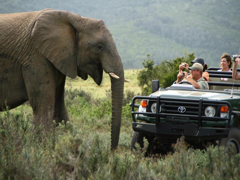 Kariega Game Reserve Bushman's River Mouth Exterior photo