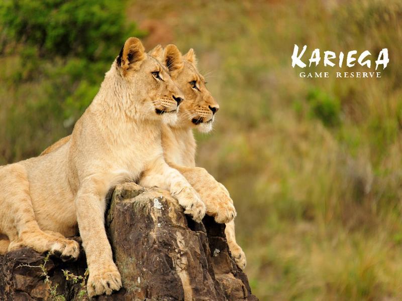 Kariega Game Reserve Bushman's River Mouth Exterior photo